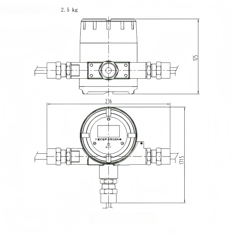 Ultrasonic level switch