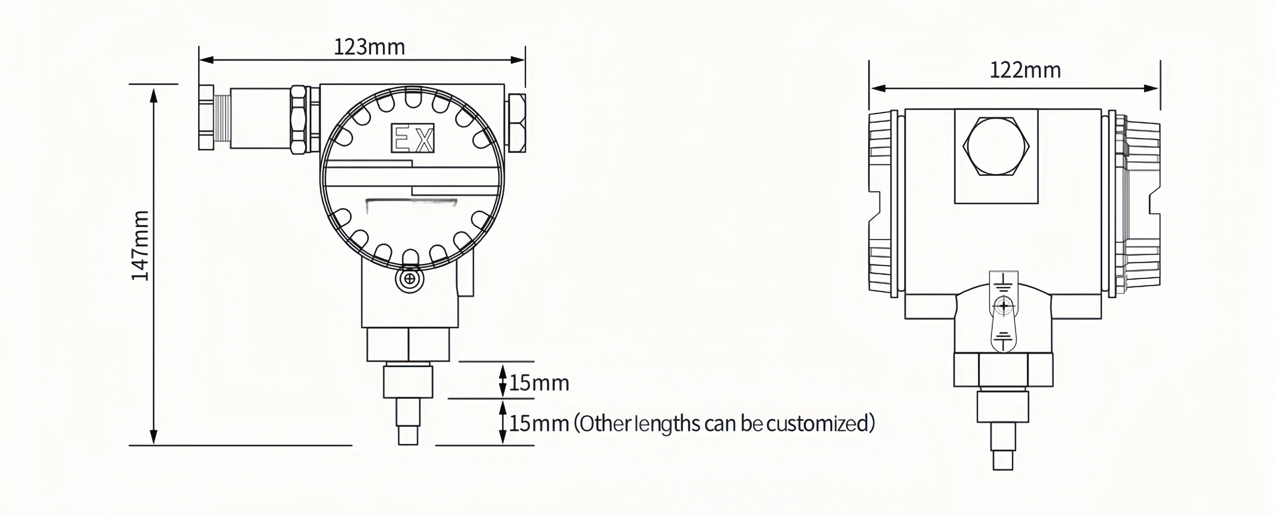 Explosion-proof flow switch