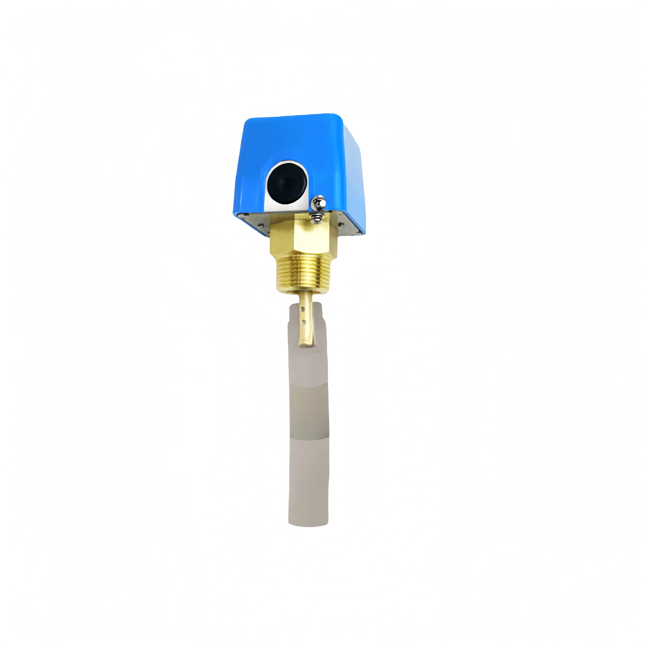 Paddle Flow Switch