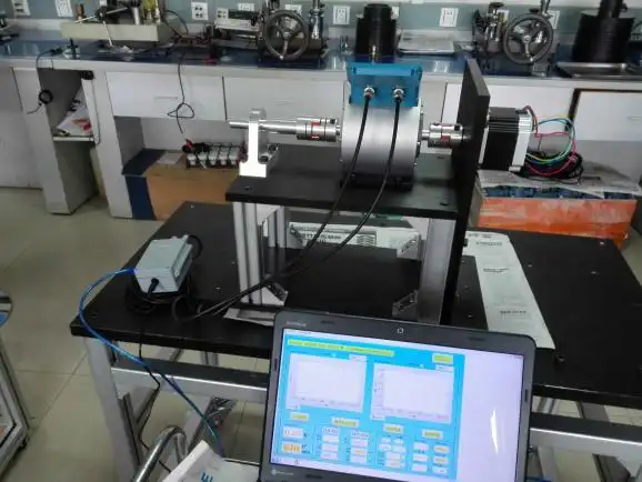 Static Torque Sensor