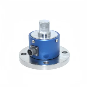 static torque sensor