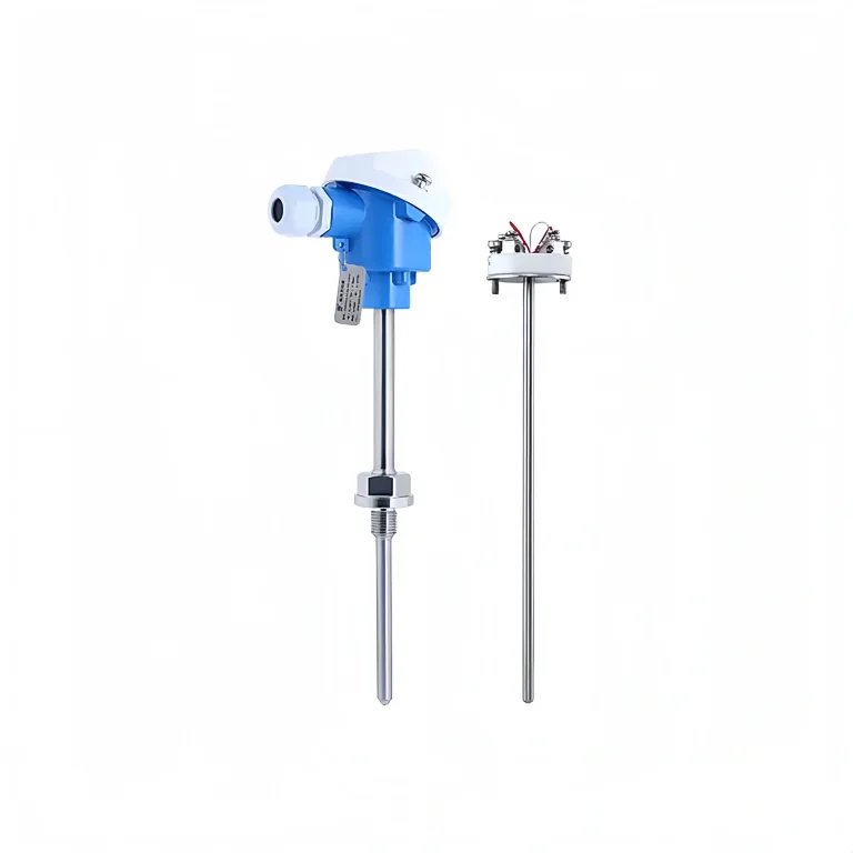 Immersion temperature transmitter