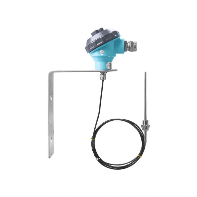 Remote Temperature Transmitter Explosion-Proof
