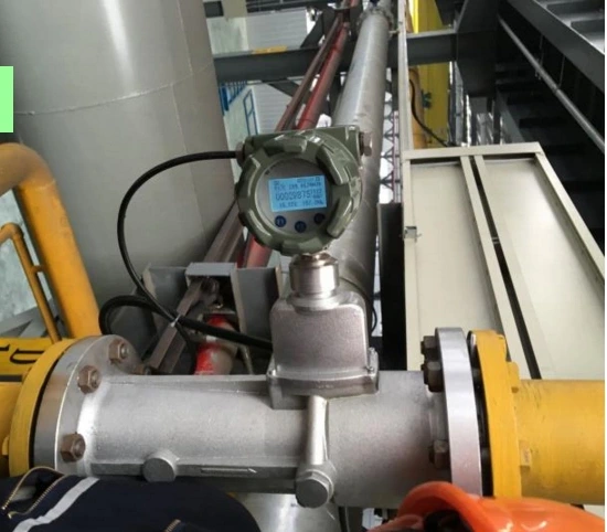 Biogas Flow Meters