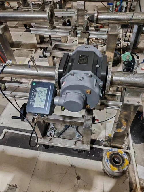 Roots Flow Meter 2