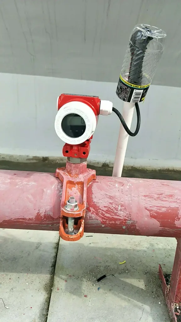 paddle type flow switch 1